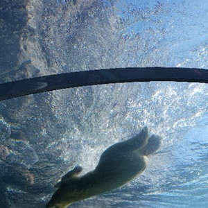 에어팟 본체 삽니다 6만원