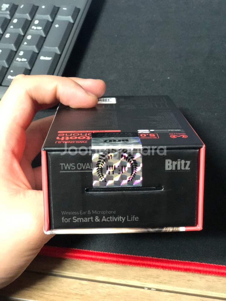 Britz TWS-OVAL5 Black--2