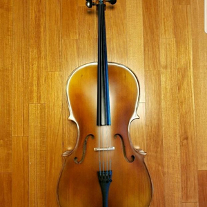 [방학 추천] 브랜드 첼로 Cello 1/2 사이