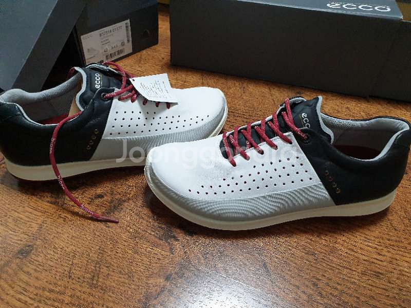 에코 골프화 팝니다--0