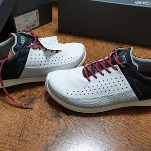 에코 골프화 팝니다