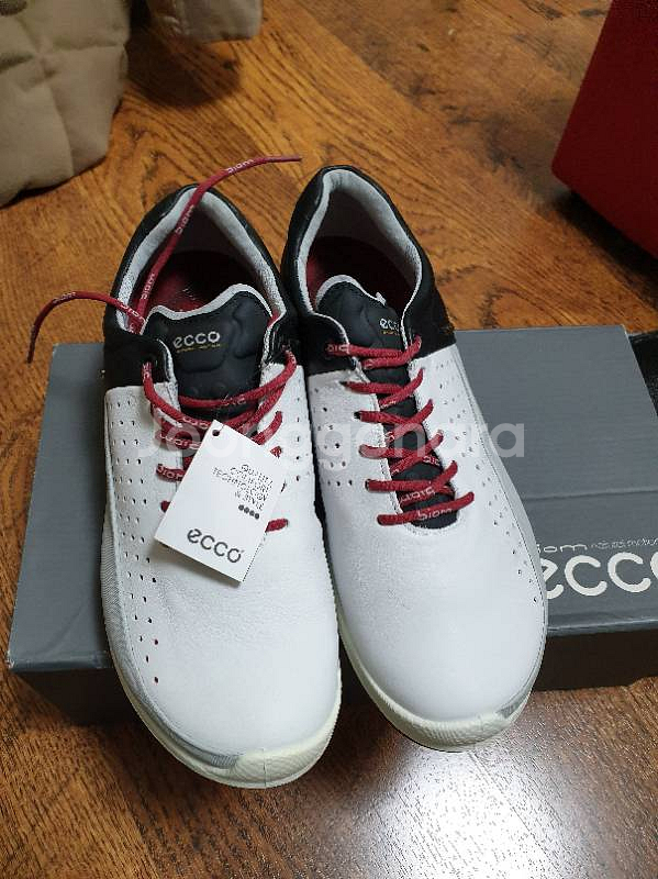 에코 골프화 팝니다--2