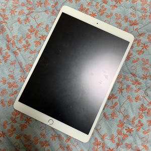 아이패드10.5 256G wifi + 애플펜슬 +