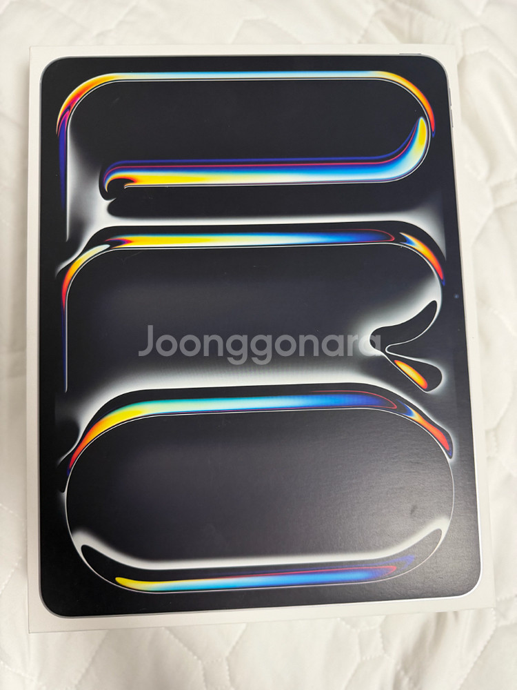 아이패드 프로 13인치 M5 실버 셀룰러 256GB--10