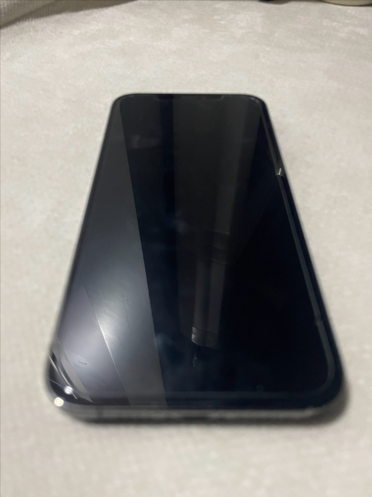 아이폰 12 프로맥스 256GB 그래파이트 이미지